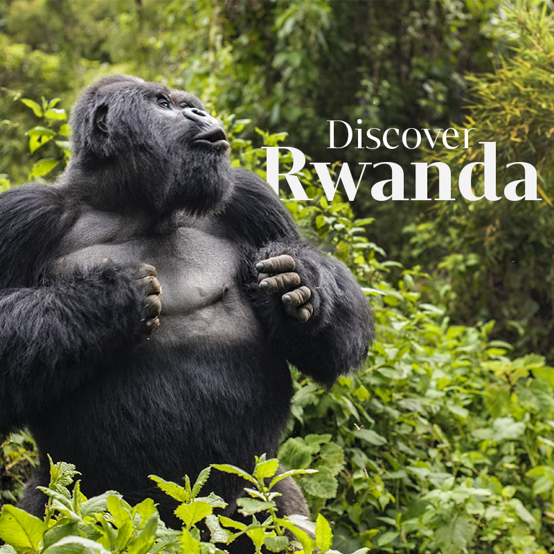 Rwanda