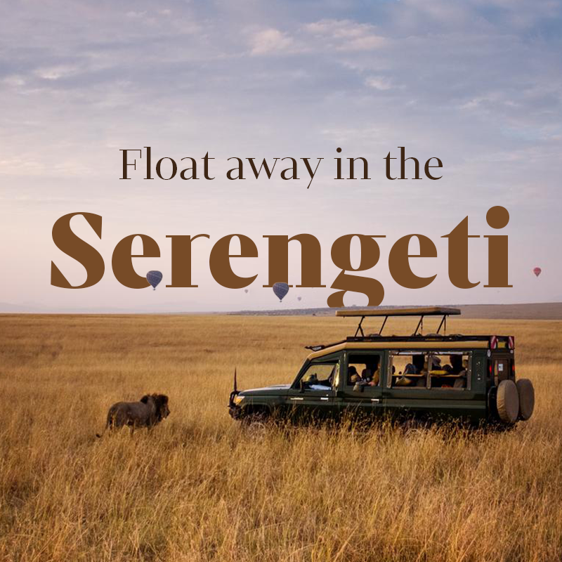 Serengeti